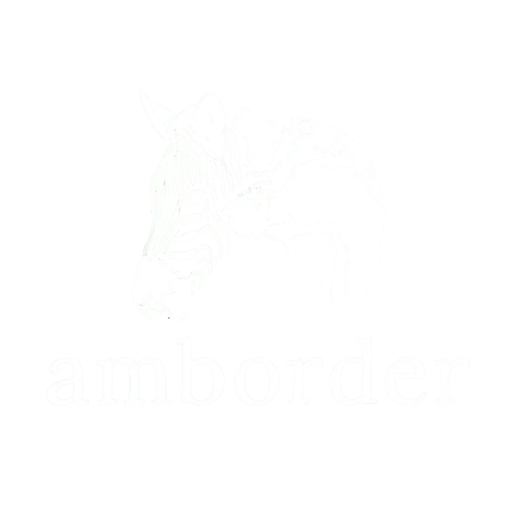 amborder logo