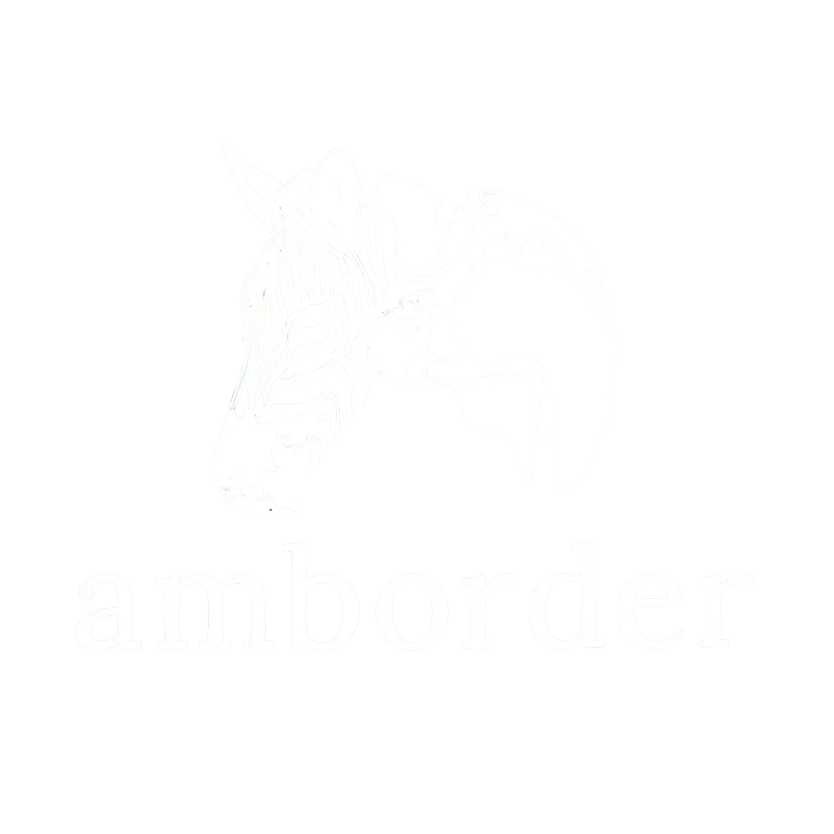 amborder logo